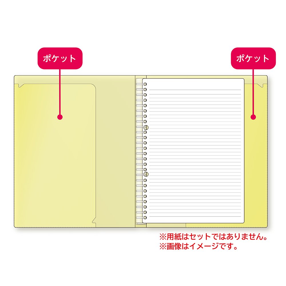 エリアバインダー Amazon | キョクトウ バインダー インターセクト 26穴 B5 LN46B